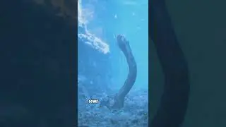 Lake Vostok: Antarctica&rsquo;s Hidden Alien Ocean