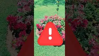 DIY Garden Decor - Make your own Plant lTower #diychannel #shorts #diygardendecor#gardendecor #diy