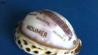 La fille du nord - Nouvelle-Calédonie