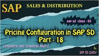 Manual Entries in Condition type controls |Condition Class |Condition Technique |sapsdguru |sst#sap