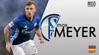 Max Meyer | Schalke 04 | Goals, Skills, Assists | 2016/17 - HD