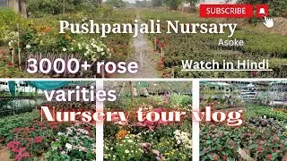 Pushpanjali Nursery Asoke tour vlog/Jakpur//kharagpur, West Bengal #pushpanjali #nursery #tourvlog