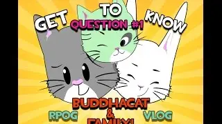 Get to Know BuddhaCat! | Top 5 Favorite Video Games?! | Keiko Pi & BuddhaKitty