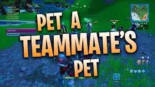 PET A TEAMMATE'S PET - FORTNITE TEAM SPIRIT CHALLENGES WEEK 7