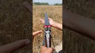 Remington Side-by-Side Shotgun | Remington Model 1879 Side-by-Side Shotgun | Double Barrel Shotgun