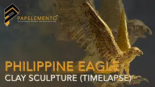 Philippine Eagle Clay Sculpture (TIMELAPSE)