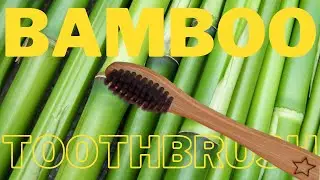 Go GREEN or Go Home - BAMBOO Toothbrush Review