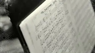 Chestnuts Roasting on an Open Fire&rdquo; | Cozy Christmas Ambience (Dawn Chubai 2013 Recording)