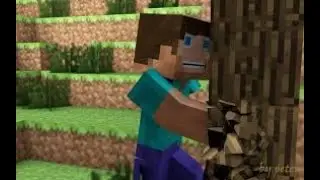 Building the Frame of my Survival House