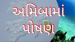 AMIBAA MA POSHAN | STD 10TH | VIGNAN | SCIENNCE VIDEO | MATHS | MOST IMP QUESTION | EXAM PREPERATION