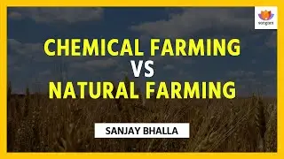 Chemical farming Vs natural farming | Sanjay Bhalla | #SangamTalks
