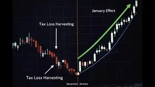 Market Rally Broaden Outs to Beaten Down Sectors (XLY, XLB, XLE, XTN, XRT, XLP)
