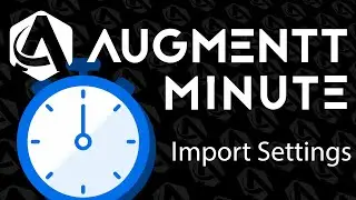 Augmentt Minute: Import Settings