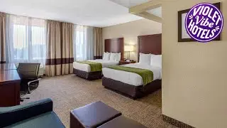 Comfort Inn St Petersburg North | St. Petersburg (FL), United States | Hotel Review 🏩