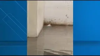 Video: Flooding at Fulton County Jail