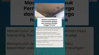Ngeri! Macan Tutul Terkam 2 Warga saat Masuk Permukiman di Bandung, Ini Kondisi Korban