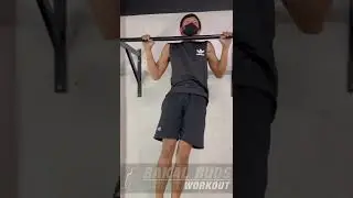 Bakal Buds Wall mounted pull up bar