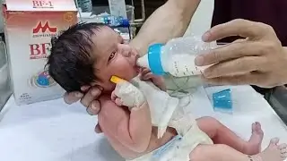 Fully Hungry Newborn Baby Starts Formula Feeding ,First Trial of Feeding Journey,Newborn Care & Love