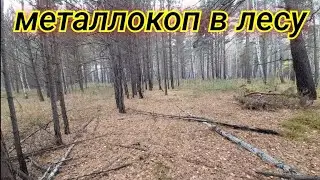 Металлокоп возле бывшего карьера в лесопосадке