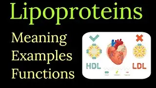 Lipoproteins kya hai: Meaning, types, examples functions || Chylomicrons || VLDL || LDL || HDL