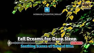 FALL ASLEEP IN MINUTES &ndash; EMDR Bilateral Tunes | Relaxing Music for Stress Relief & Peaceful Dreams ✨
