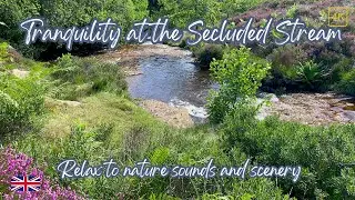 TRANQUILITY AT THE SECLUDED STREAM: Nature scenes and sounds for relaxation and mindfulness