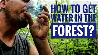 Survive. I get water in the wild forest. I do insect protection