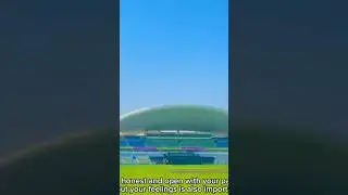 Abu Dhabi International Cricket Stadium View | Peaceful & Empty Grounds #AbuDhabiStadium #abudhabi