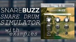 FREE Wavesfactory SnareBUZZ explained & used to spice up a loop