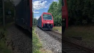 Commuter train in Z&uuml;rich Switzerland Re 450 91 85 4 450 031-0