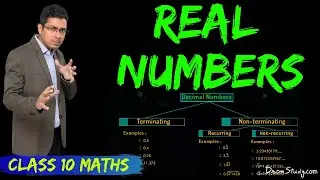 Real Numbers | CBSE Class 10 Mathematics
