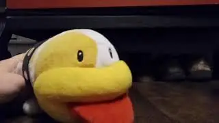 This is Poochy! (plush version)