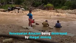 Venezuelan Amazon being destroyed by illegal mining