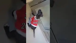 😭😢🥺#cutedog #pitbulladvocate #emotional