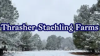 Winter Weather and Early Goat Labor??? | First farming Vlog! | STARTING OUR FARM CHANNEL!!!