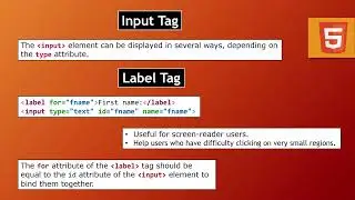 Mastering Forms in HTML | Urdu / Hindi