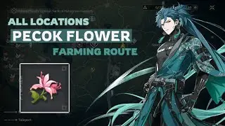 All Pecok Flower Location and Farming Route Guide