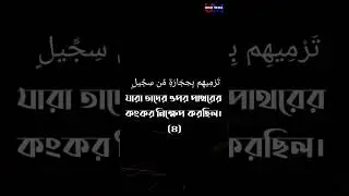 Surah al-fil. বাংলা অনুবাদ ৷  qari nansur as salami