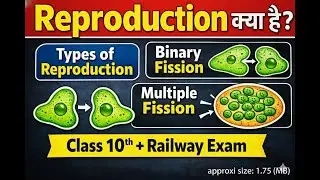 Reproduction पूरा Concept | Binary & Multiple Fission आसान भाषा में | Railway  All Exam + Class 10