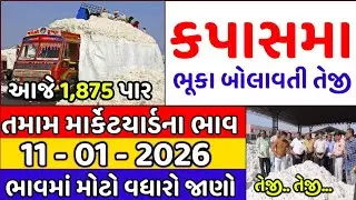 Kapas na bhav | 08-01-2025 | કપાસના ભાવ:2025 | Information about cotton crop price | Commodity Trend