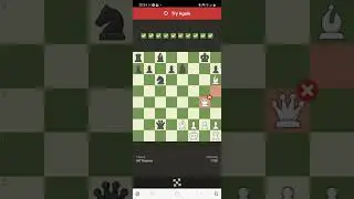 my chess.com account