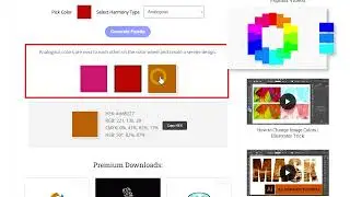 Free Online Color Palette Generator | Color Scheme Creator