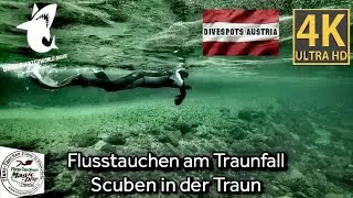 Scuben in der Traun - Flusstauchen am Traunfall - Divespots Austria 🇦🇹 - @harrytraunfall2051