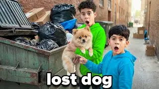 We Found a Lost Dog&hellip; The Kids Begged Us To Keep it