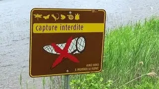 Канада 217: Репортаж из национального парка Монт-Орфорд
