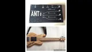 Ashdown Ant + De Gier Hybrid Bass (Active)