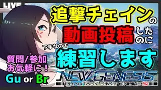 【PSO2 NGS/Ship6】ガンナーの「追撃チェイン」実は初心者です。練習します！！/ガンナー(Gu)ブレイバー(Br)/質問・参加・初心者歓迎！【大翔/yami】