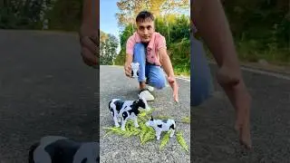 Big and Small Remote Control Cow 🐄 unboxing 🔥