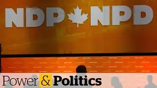 NDP pitches change at policy convention