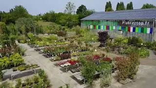 P&eacute;pini&egrave;re, arbustes, fleurs, plantes (77) : JARDINERIE DE MEAUX